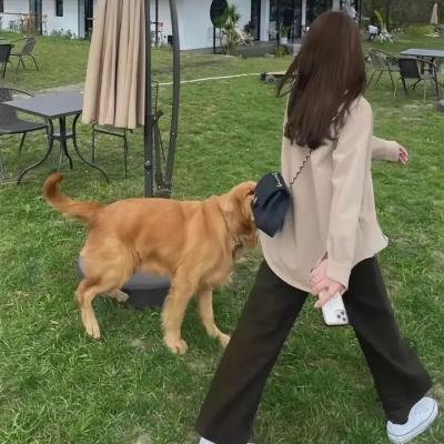 特遣队出击